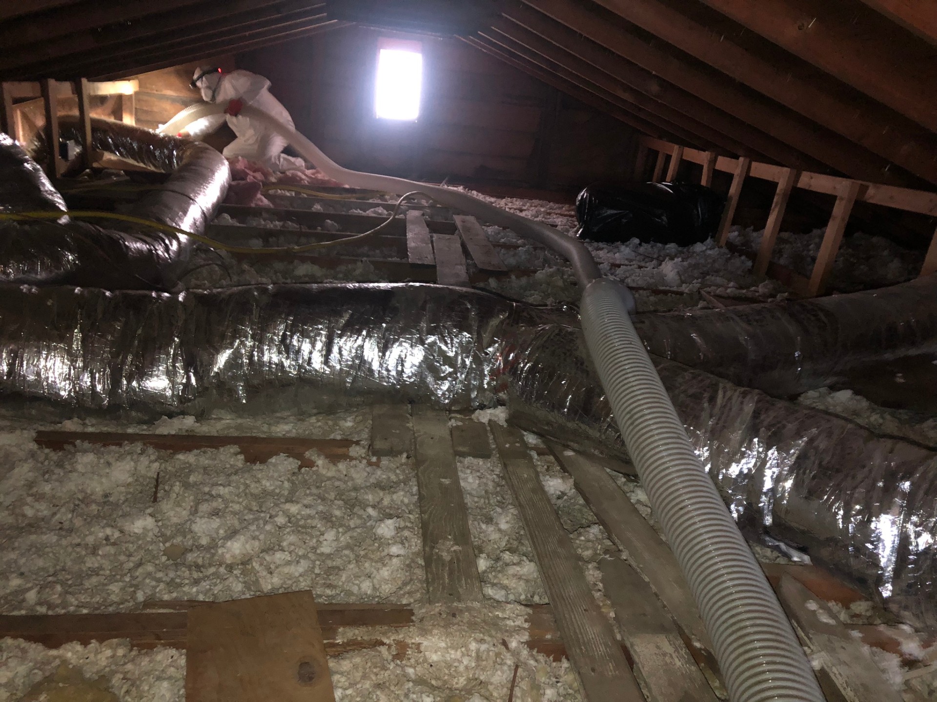 Attic Decontamination